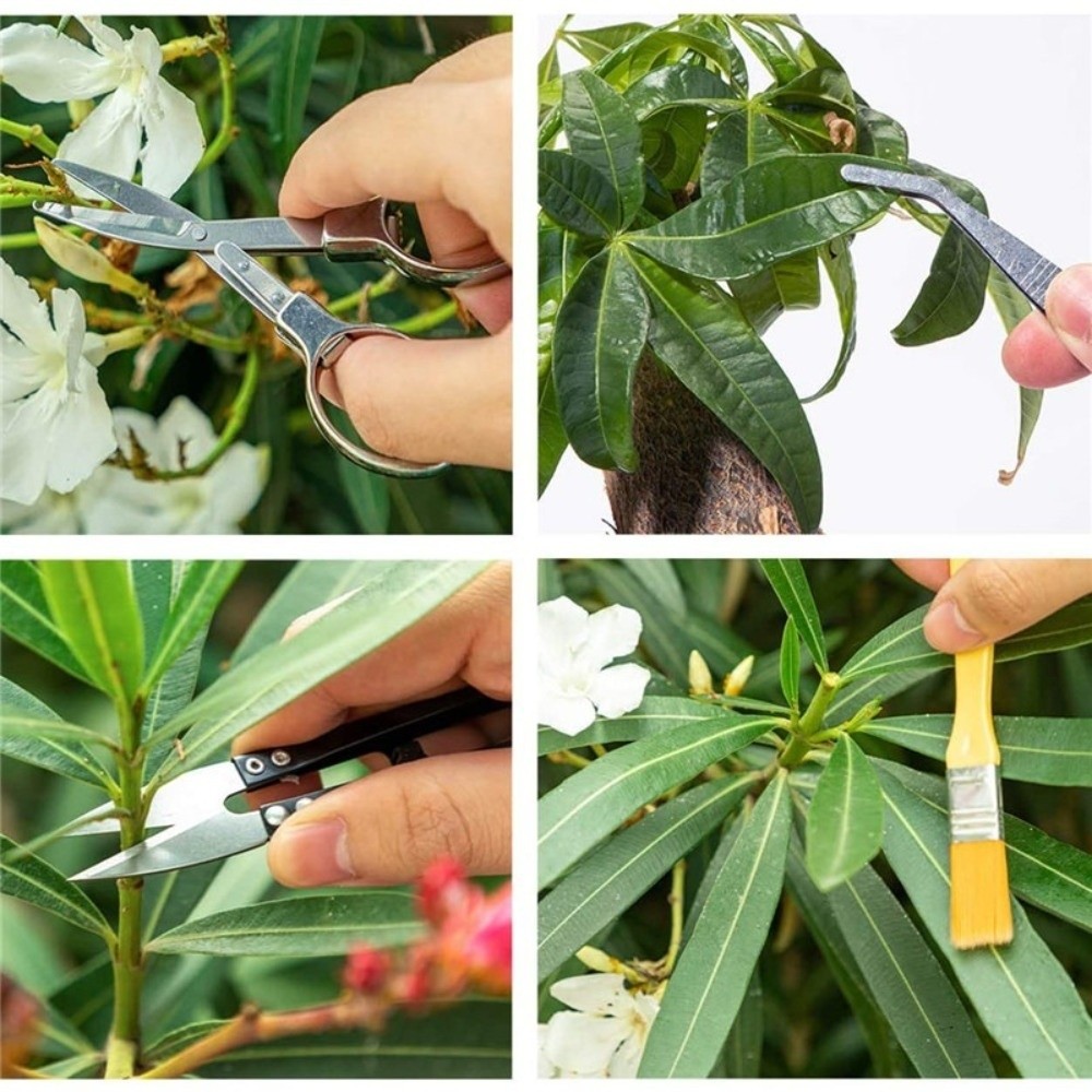 Spade Digging Fork - Multi-functional Mini Garden Planting Tool Set