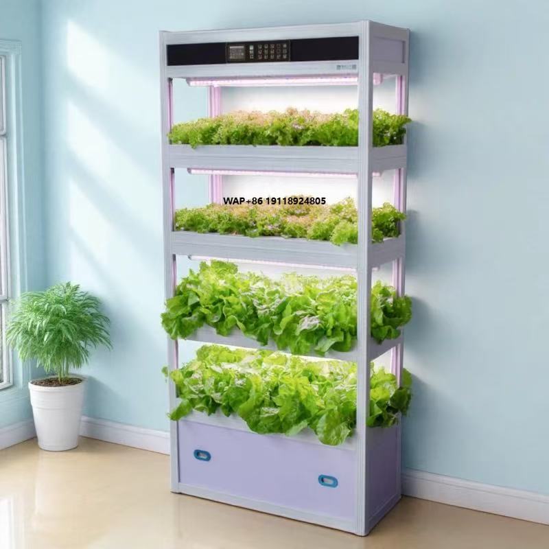 Indoor Intelligent Soilless Cu - Hydroponic System review and price
