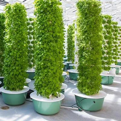Aeroponics Towers Garden Syste - Hydroponic System review and price