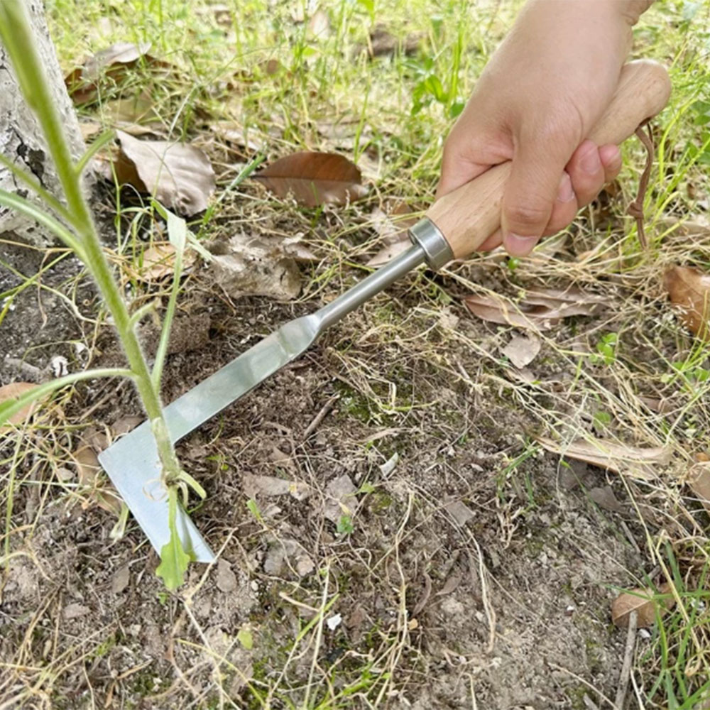 Stainless Steel Gap Weeding To - Gardening Tools Used For Weeding review and price