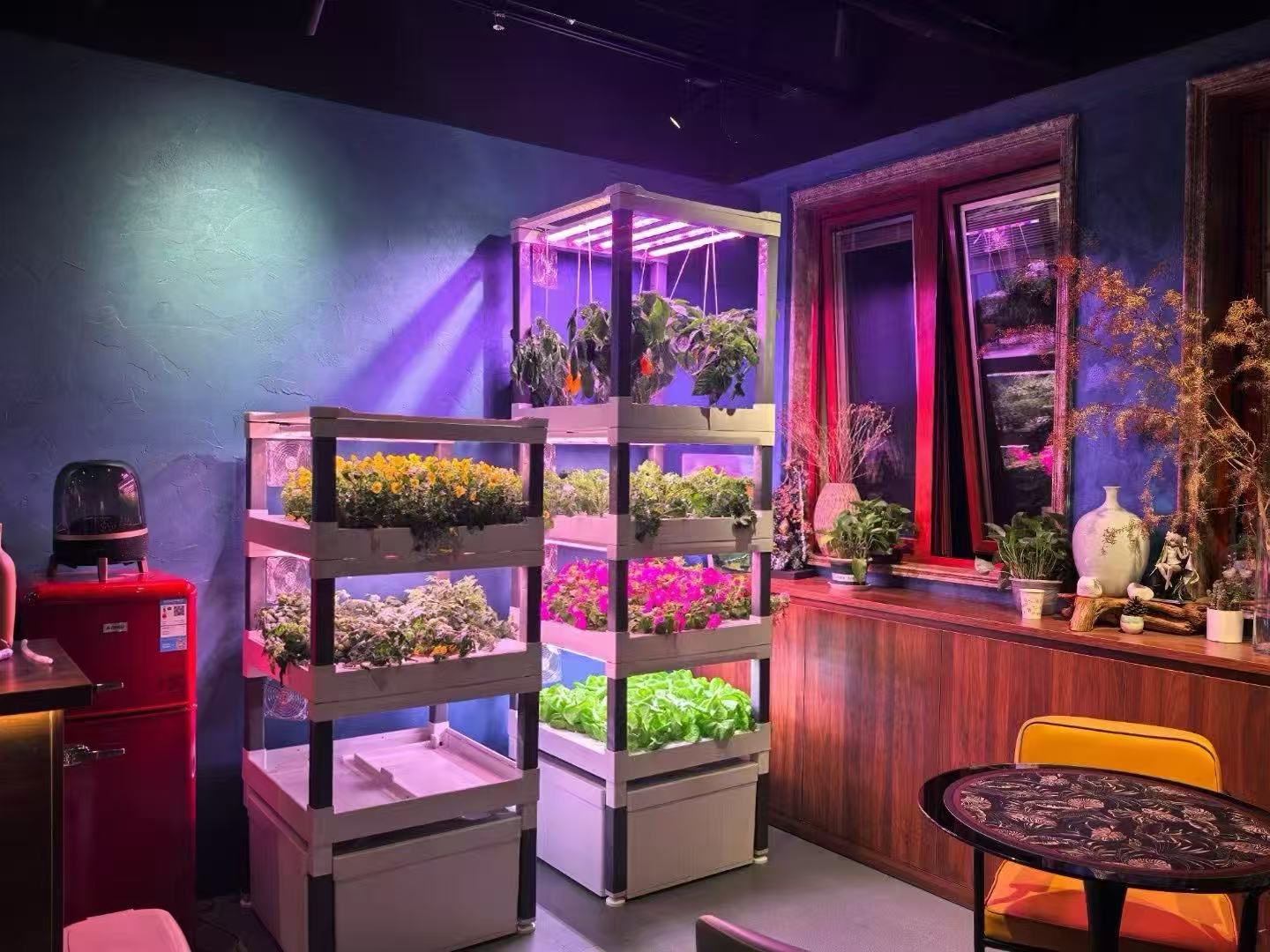 New Automatic Home Use Vertica - Hydroponic System review and price