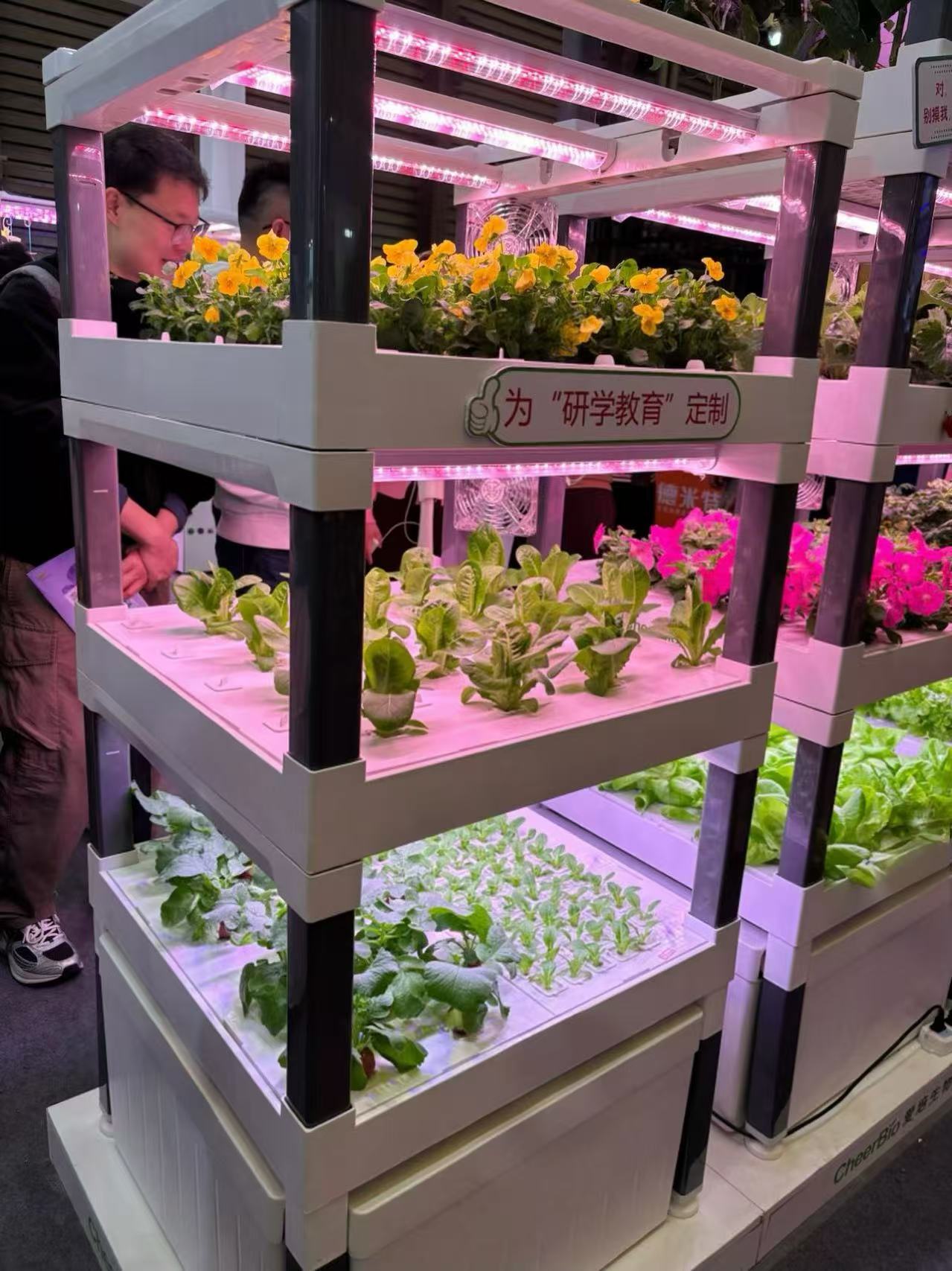 New Automatic Home Use Vertica - Hydroponic System review and price