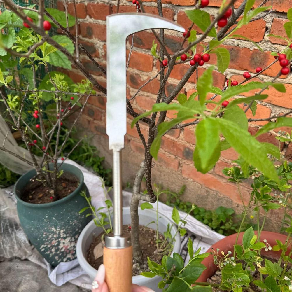 Stainless Steel Gap Weeding To - Gardening Tools Used For Weeding review and price