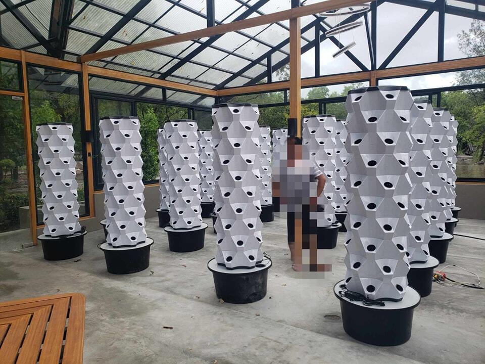 Greenhouse Vertical Farming Hy - Hydroponic System review and price