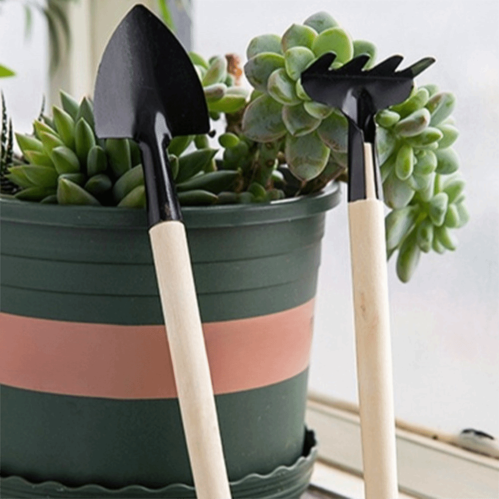 Multi-functional Mini Garden P - Spade Digging Fork review and price