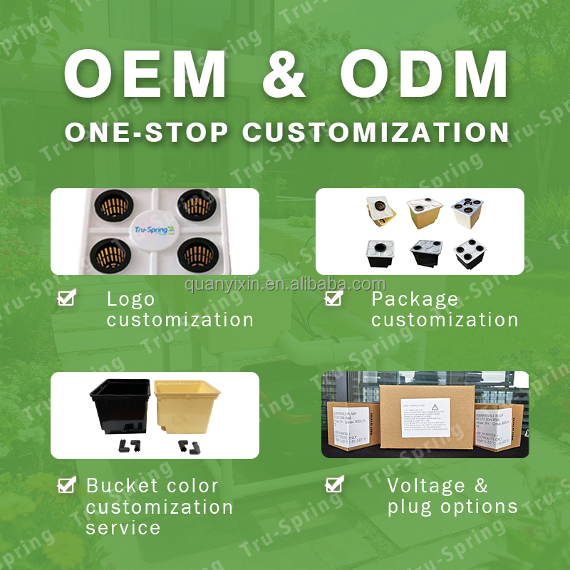 Dutch Bucket Hydroponic System - Hydroponic System review and price