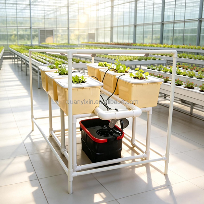 Dutch Bucket Hydroponic System - Hydroponic System review and price