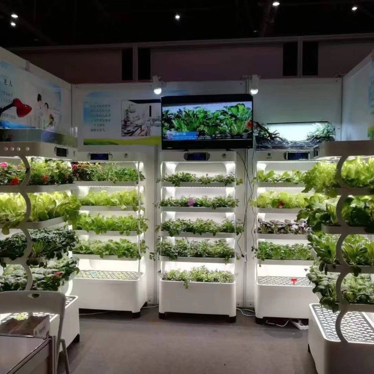 Intelligent Hydroponic Growing - Hydroponic System review and price