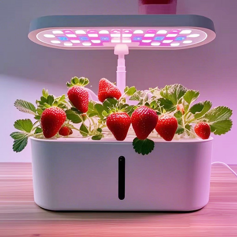Home Smart Hydroponic Vegetabl - Hydroponic System review and price