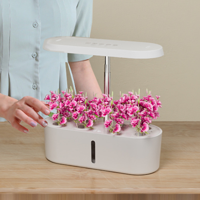 Home Smart Hydroponic Vegetabl - Hydroponic System review and price