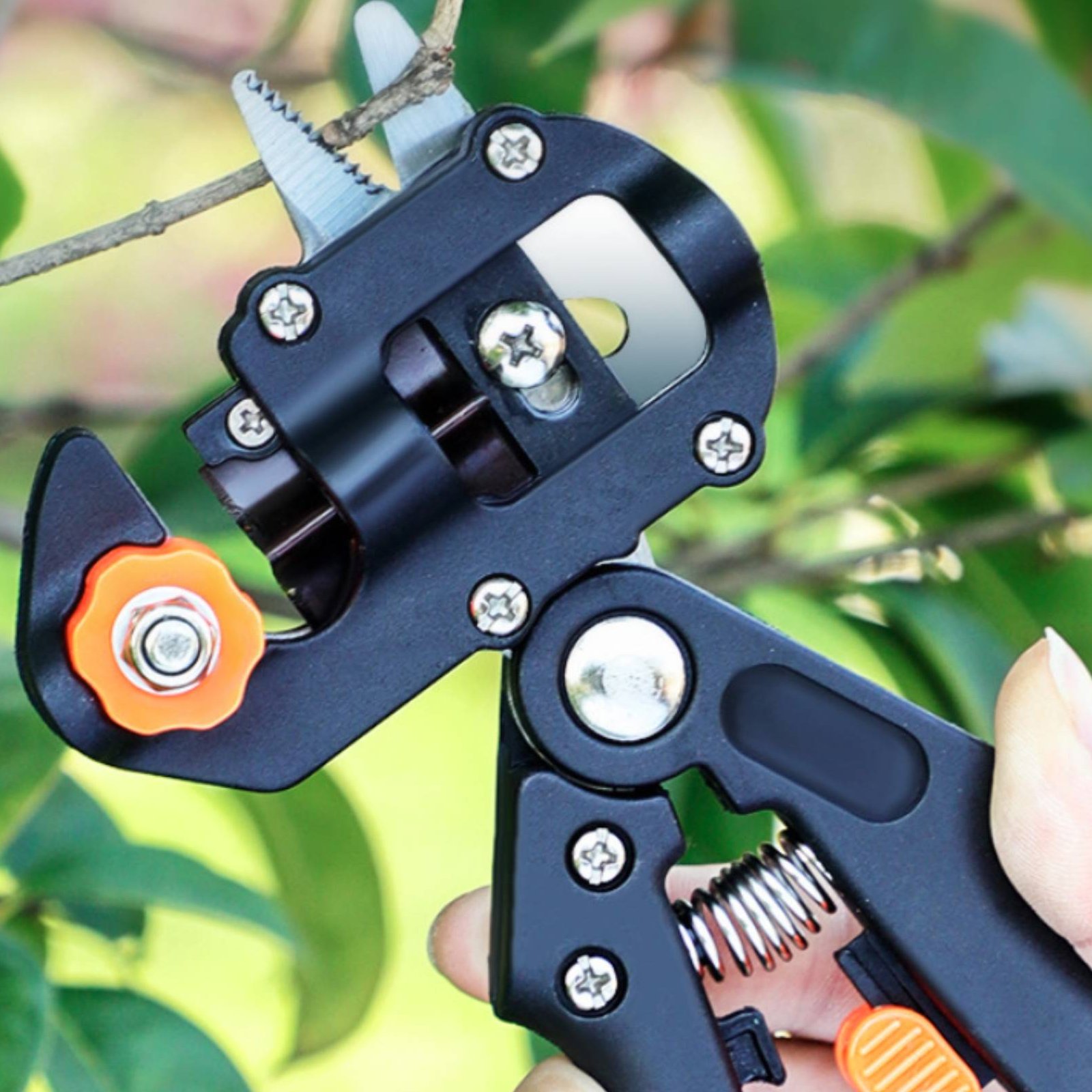Pruning Grafting Shears 2 in 1 - Pruning Shears review and price