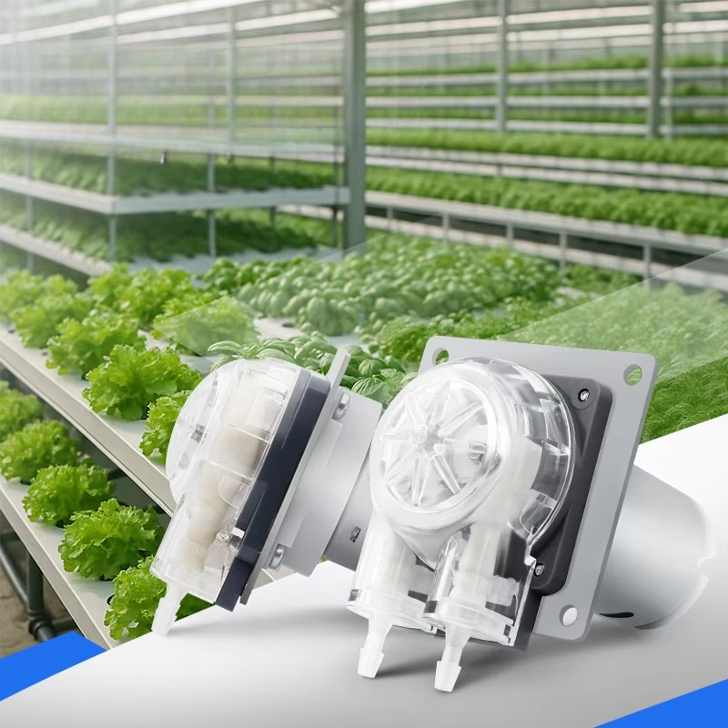 Low Noise 12V 24v Dc Motor 280 - Hydroponic System review and price