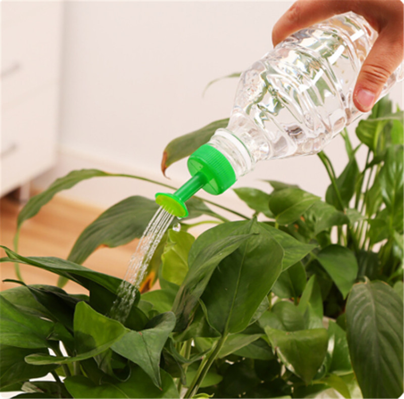 Durable Plastic Plant Water Ca - Gardening Tools For Sale review and price