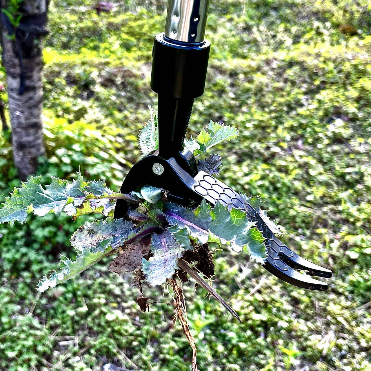 Save Labour Hand Metal Weed Ex - Gardening Tools You Need review and price