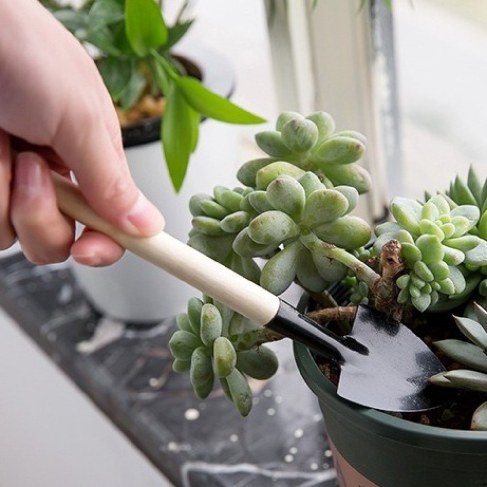 Multi-functional Mini Garden P - Spade Digging Fork review and price