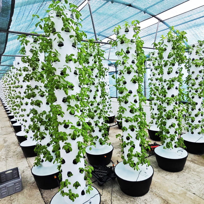 High Quality Easy Install Smal - Hydroponic System review and price