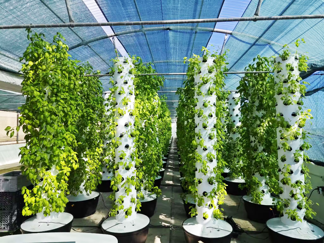 High Quality Easy Install Smal - Hydroponic System review and price