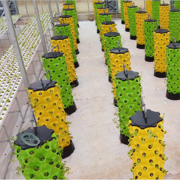 High Quality Easy Install Smal - Hydroponic System review and price