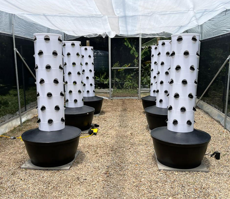 High Quality Easy Install Smal - Hydroponic System review and price