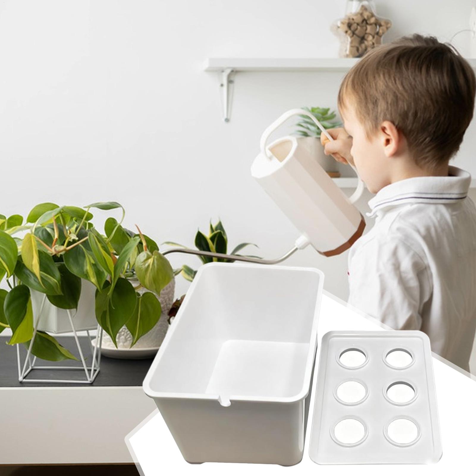 Hydroponic Planting Kit Beginn - Hydroponic System review and price