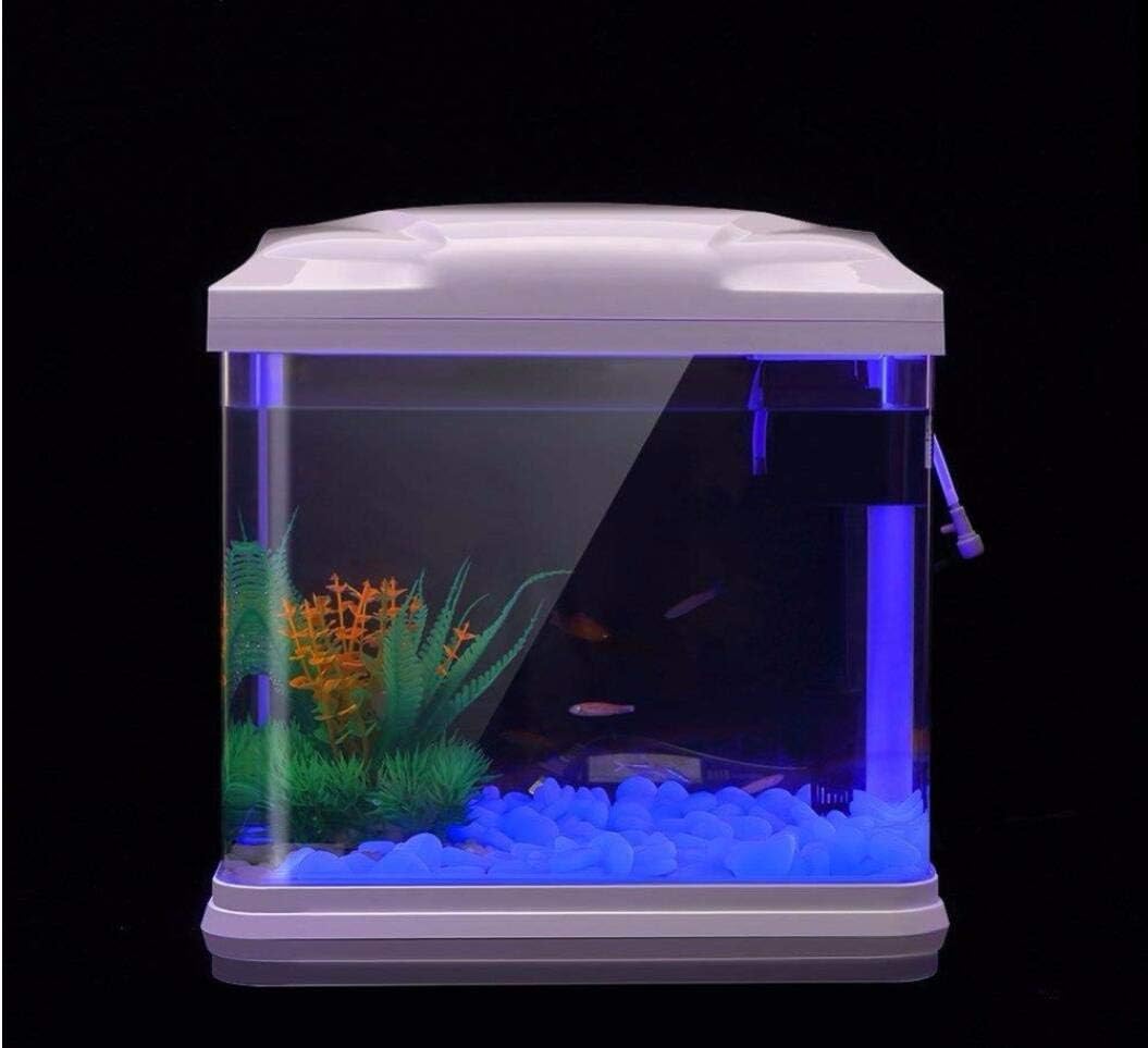 Fish Tank Rocks Glow Blue Pebb - Aquaponics Fish Tank review and price