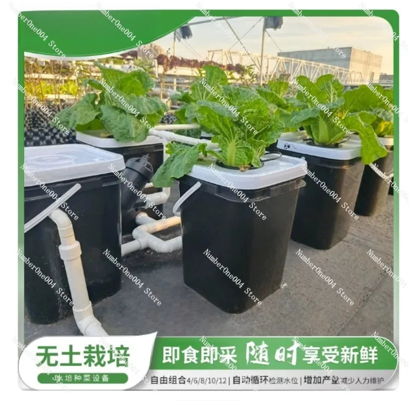 RDWC Home Balcony Hydroponic G - Hydroponic System review and price