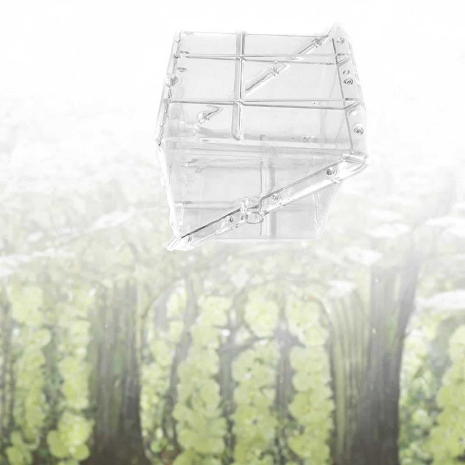 Square Watermelon Growth Mold  - Gardening Tools Unique review and price