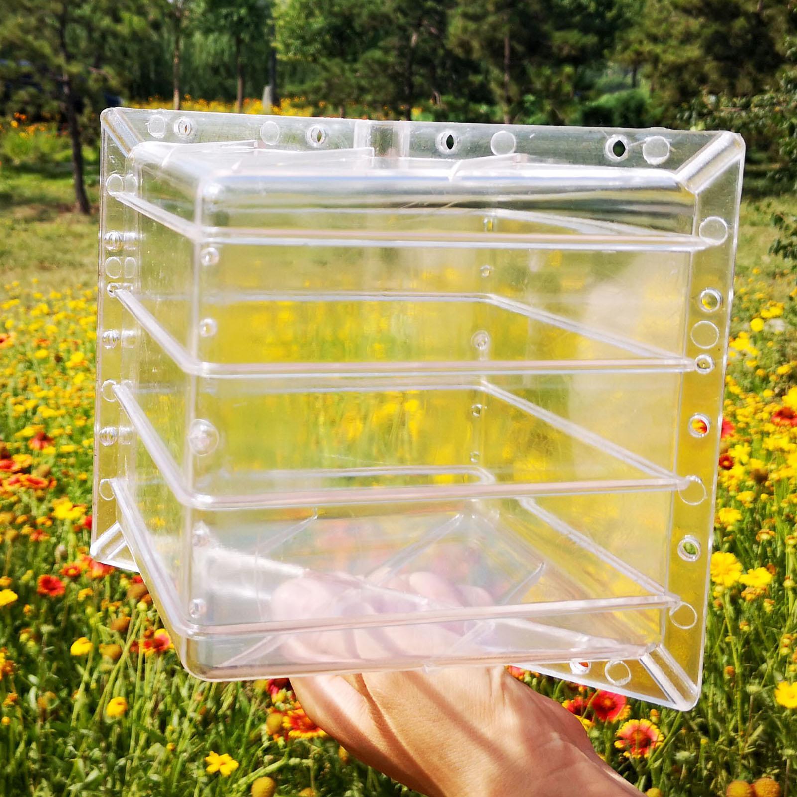 Square Watermelon Growth Mold  - Gardening Tools Unique review and price