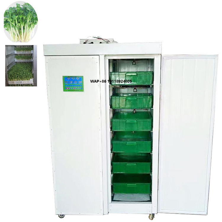 Indoor Hydroponic Bean Garlic  - Hydroponic System review and price