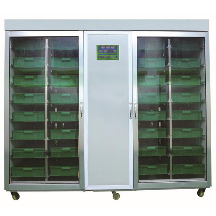 Indoor Hydroponic Bean Garlic  - Hydroponic System review and price