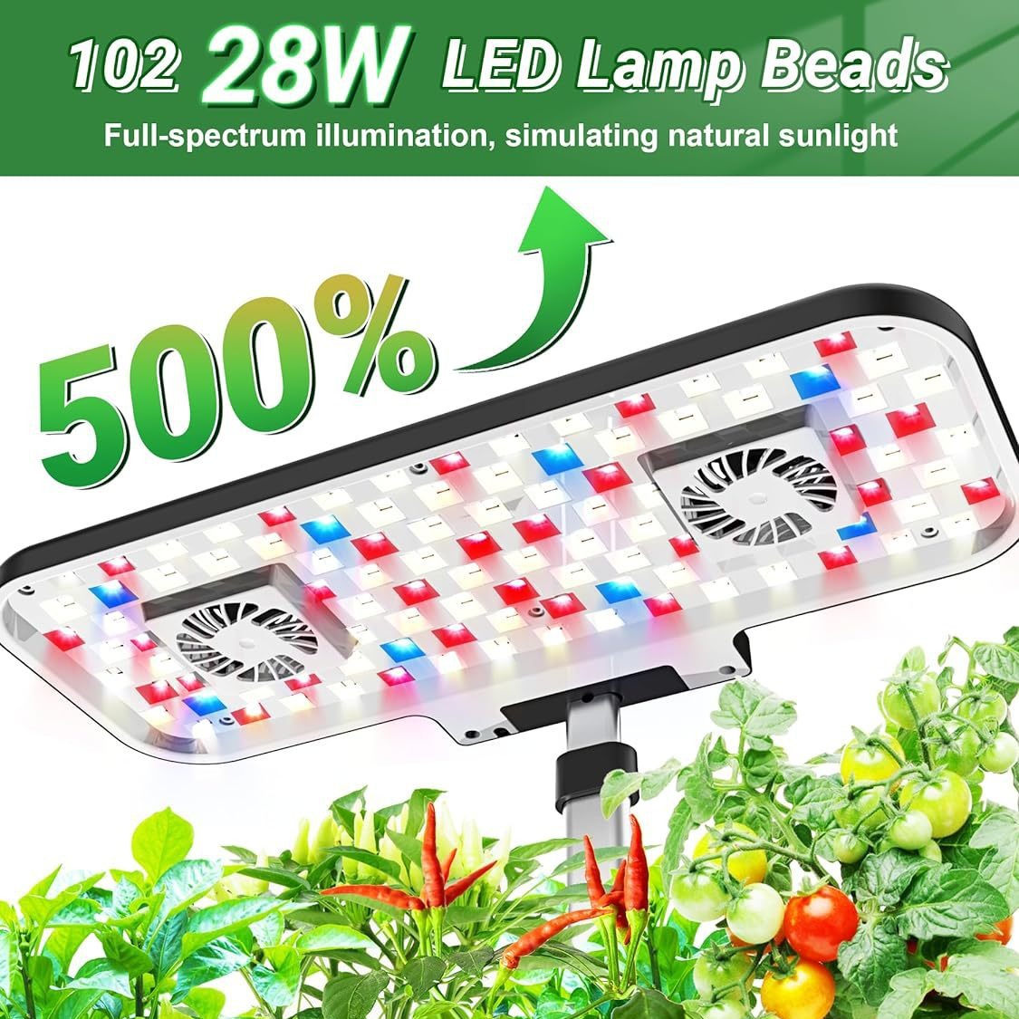 Multi-function Planting System - Hydroponic System review and price