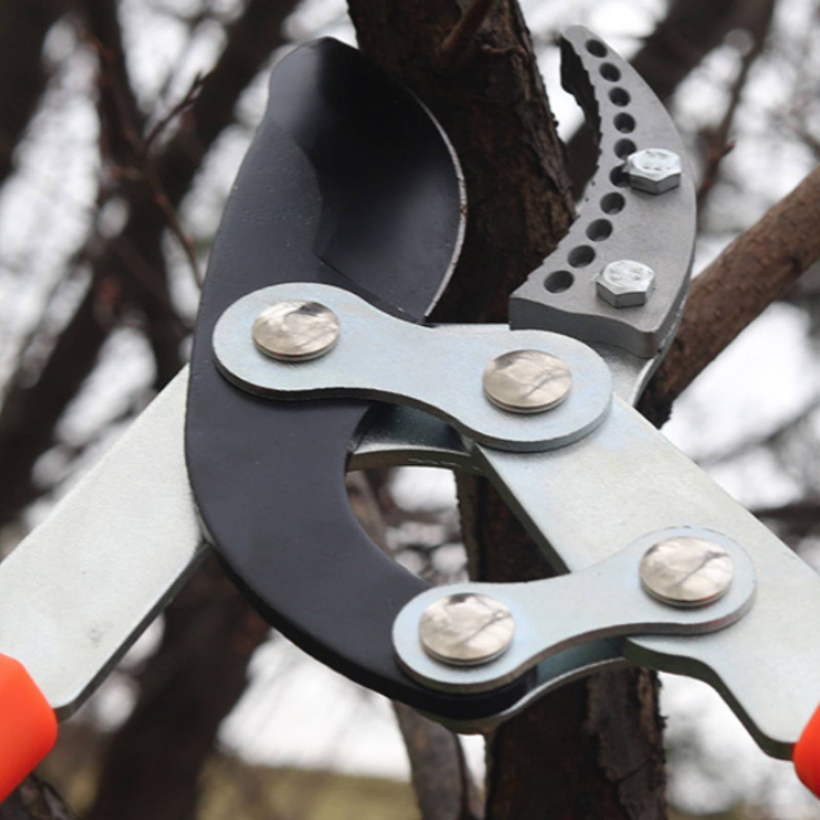 Telescopic Branch Pruners Shar - Pruning Shears review and price