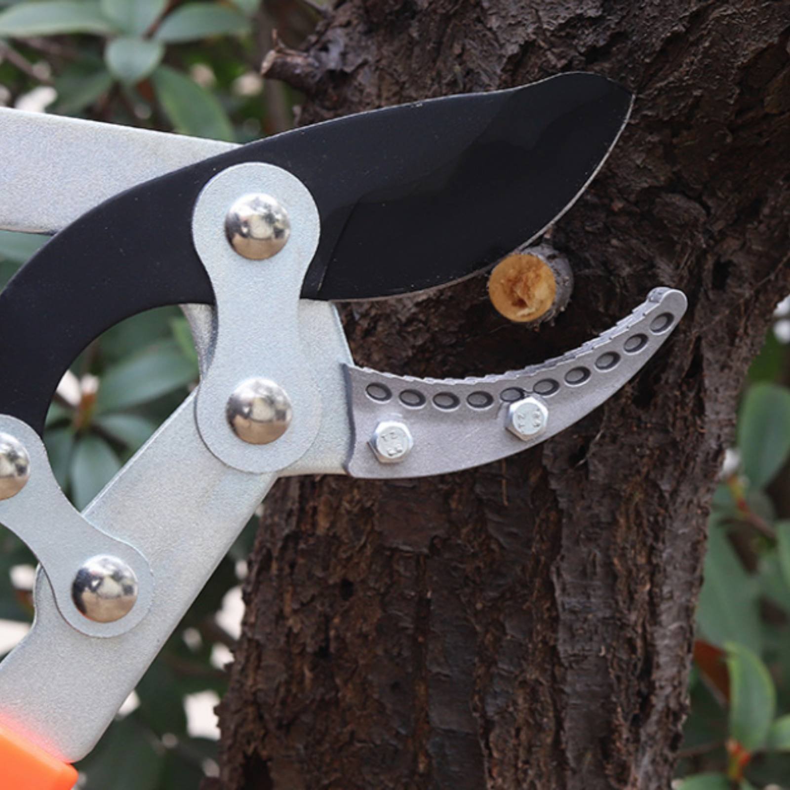 Telescopic Branch Pruners Shar - Pruning Shears review and price