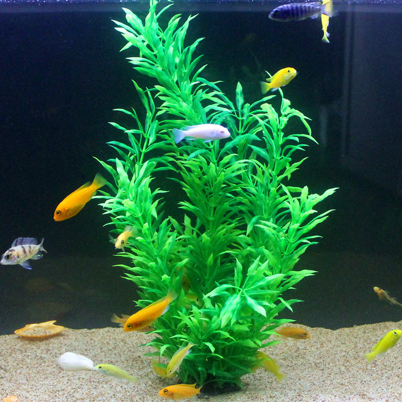 50CM Artificial Fish Tank Rare - Aquaponics Fish Tank review and price
