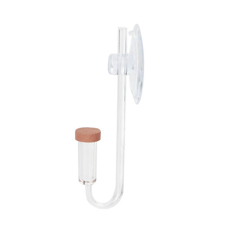 Acrylic Mini Fish Tank Live Pl - Aquaponics Fish Tank review and price