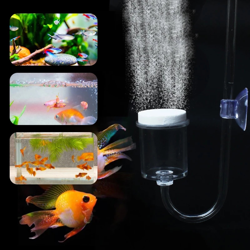 4pcs Set DIY CO2 Diffuser For  - Aquaponics Fish Tank review and price