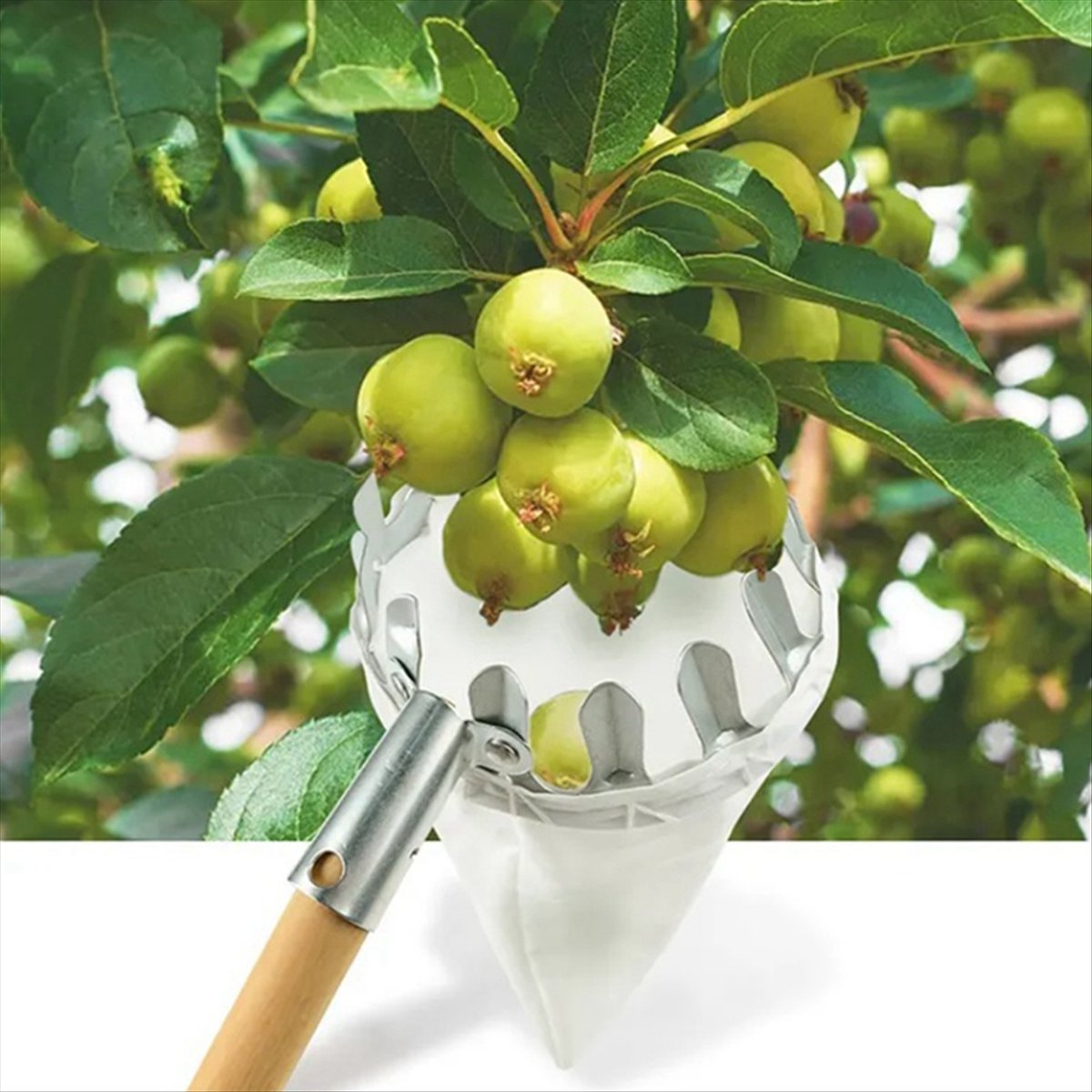 【Clearance Sale】Metal Fruit Pi - Gardening Tools For Sale review and price