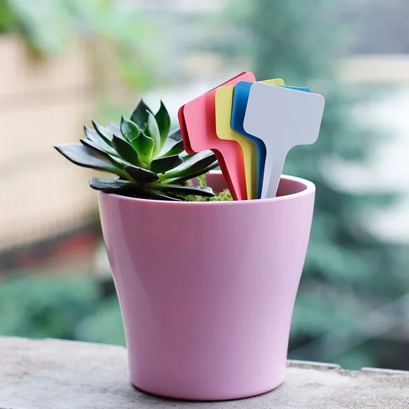 20 Pcs Plastic Waterproof Plan - Gardening Tools Names review and price