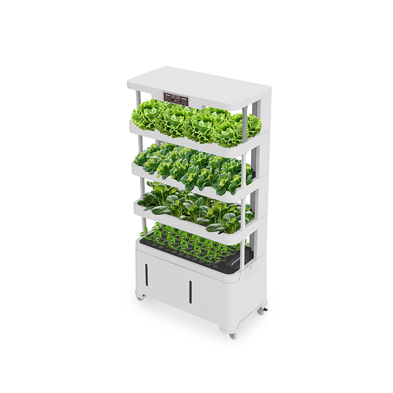 High-Tech Intelligent Hydropon - Hydroponic System review and price