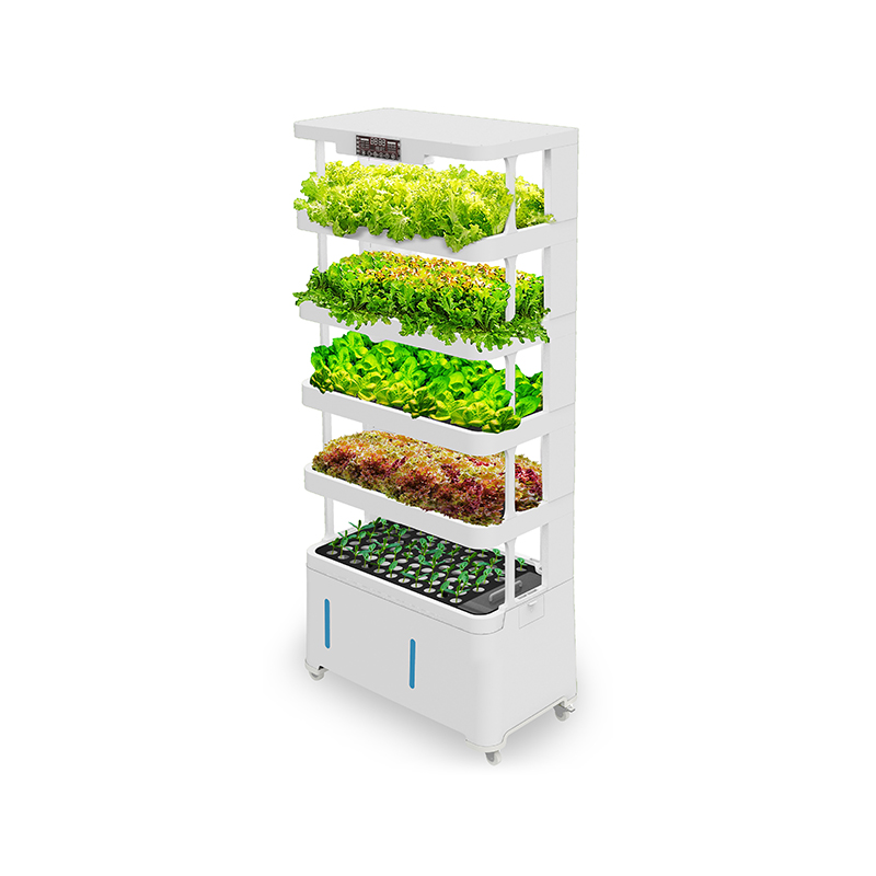 High-Tech Intelligent Hydropon - Hydroponic System review and price