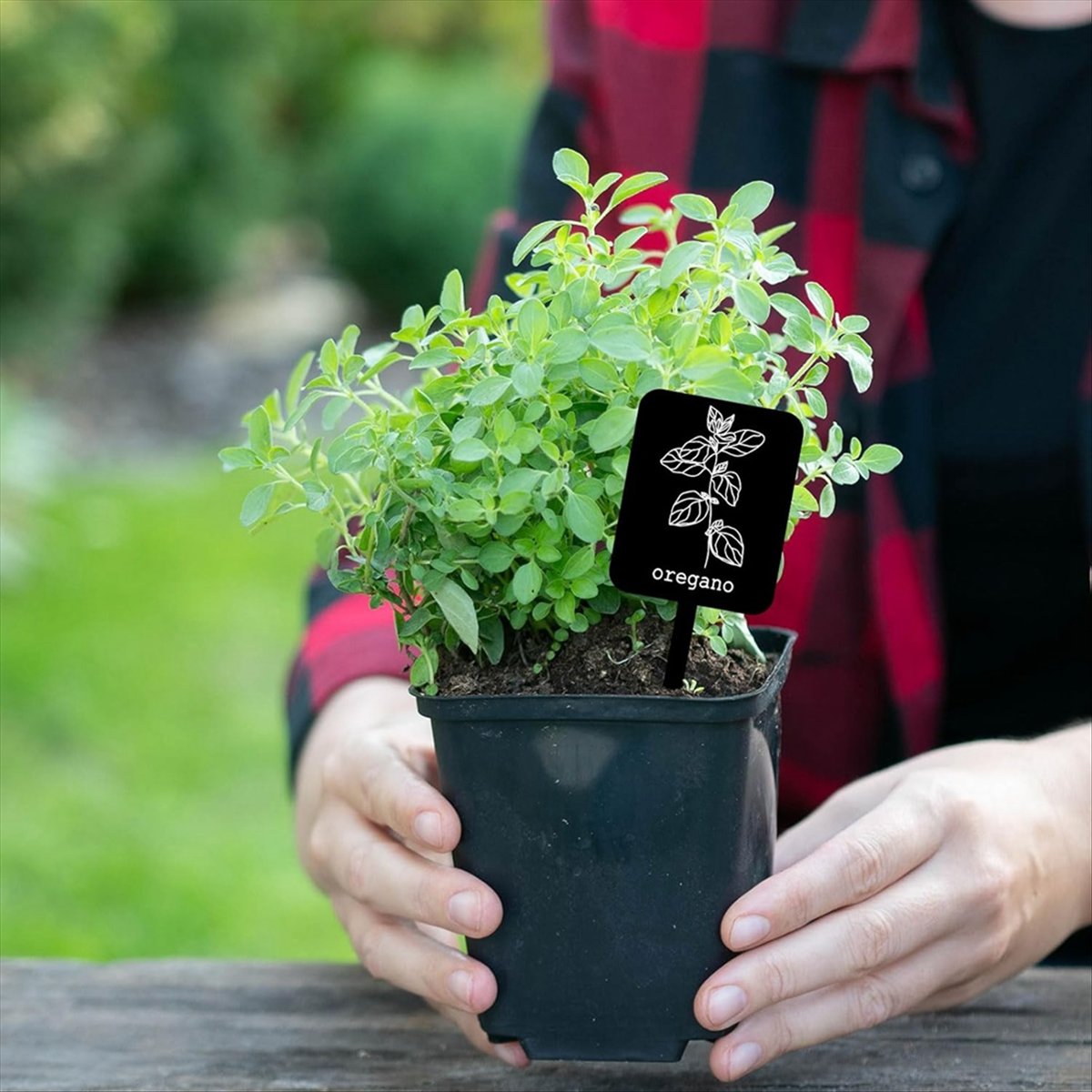 AA14 24Pcs Acrylic Plant Label - Gardening Tools Names review and price